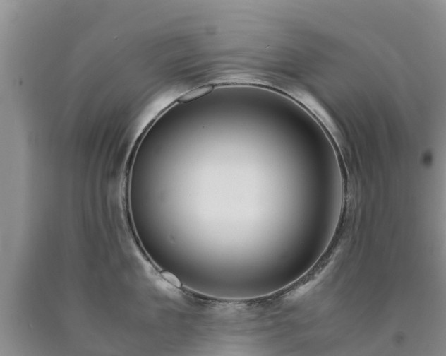 X0000090620909200707241126