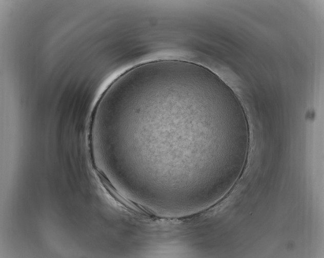 X0000090620912200707241126