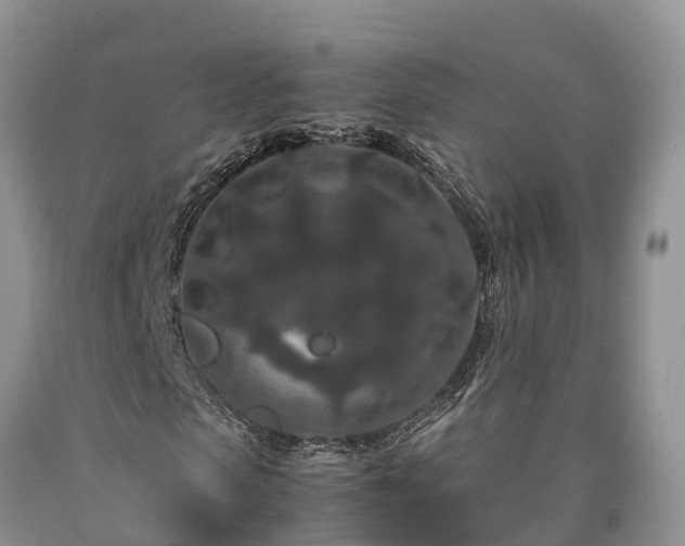 X0000090620913200707241125