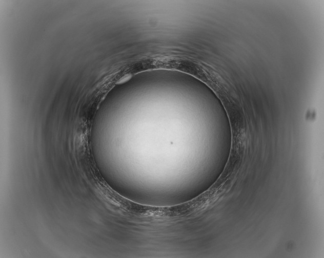 X0000090620914200707241125