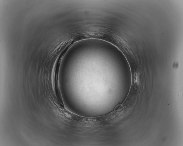 X0000090620915200707241125