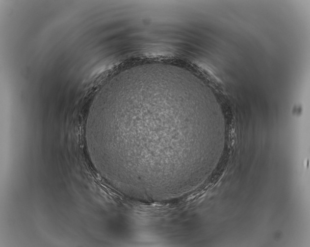 X0000090620917200707241125