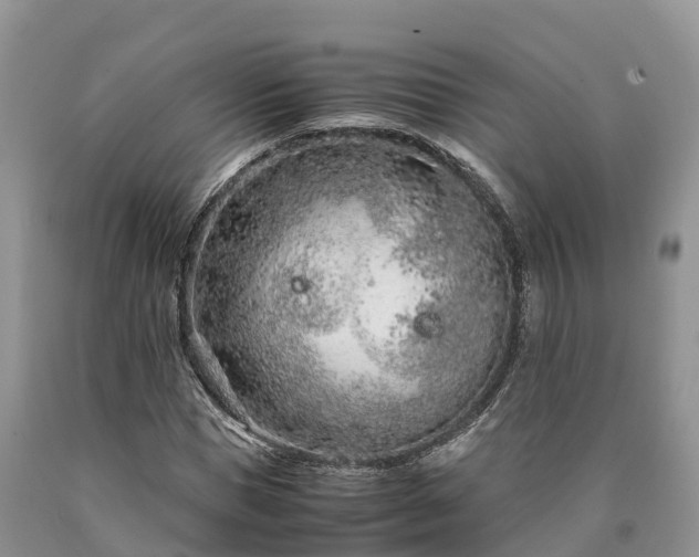 X0000090620921200707241125