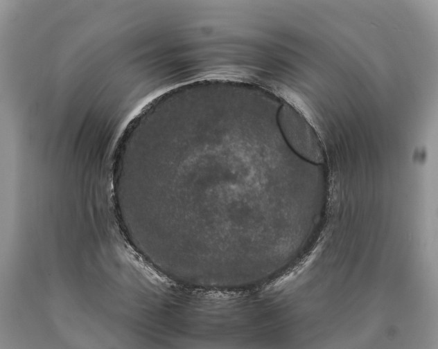 X0000090620923200707241125
