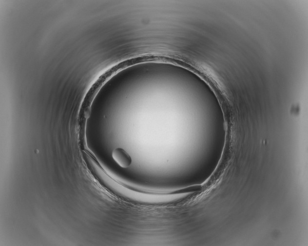 X0000090620924200707241125