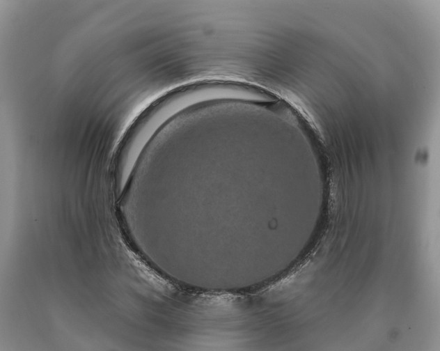 X0000090620926200707241125