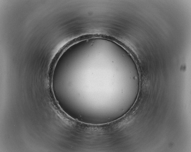 X0000090620927200707241125