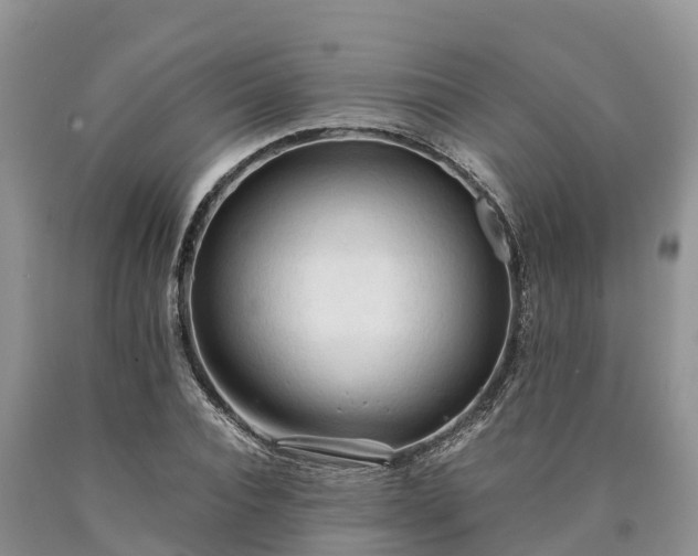 X0000090620928200707241125