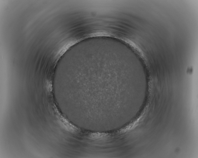 X0000090620929200707241126