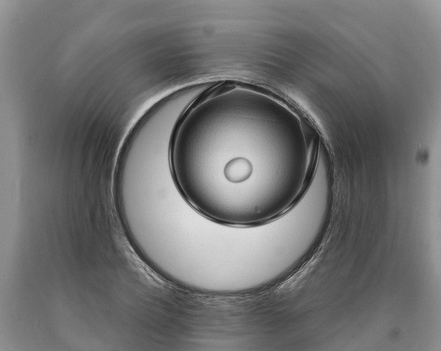 X0000090620932200707241126