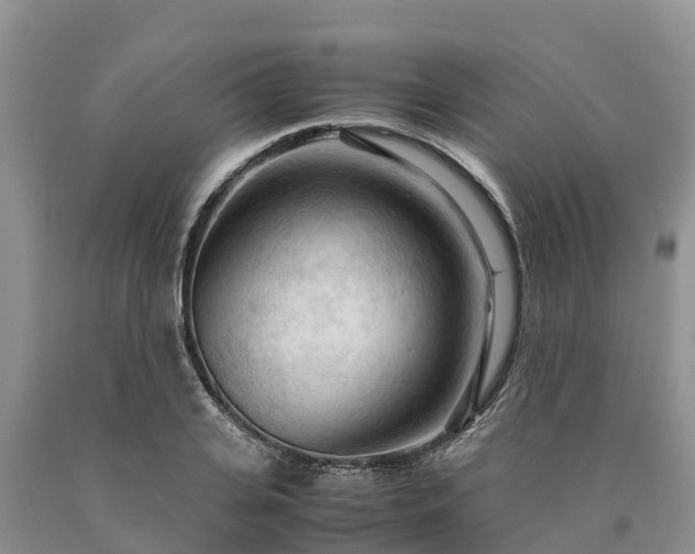 X0000090620935200707241126