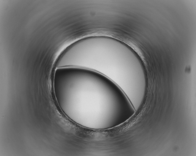 X0000090620936200707241126