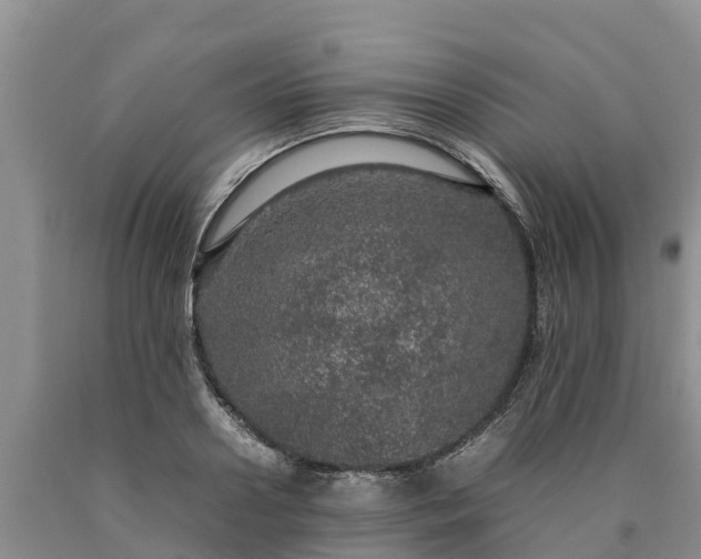 X0000090620938200707241126