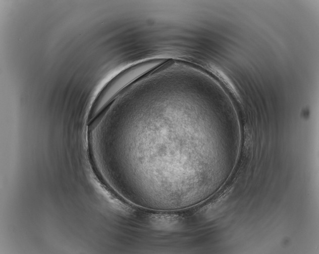 X0000090620939200707241126