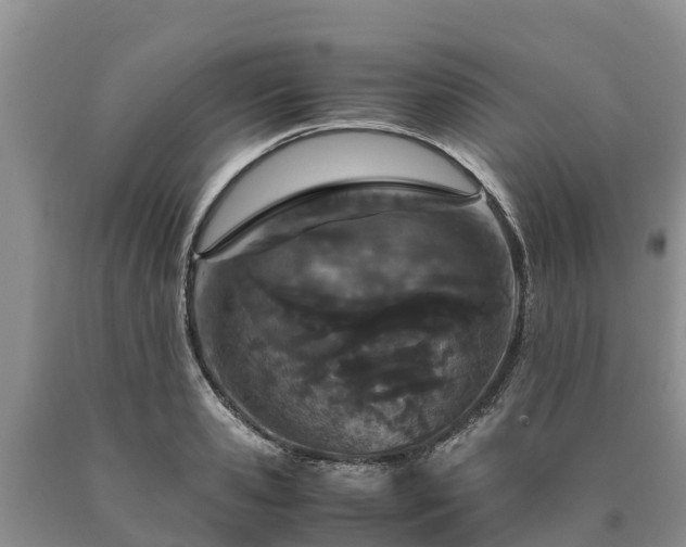 X0000090620941200707241126