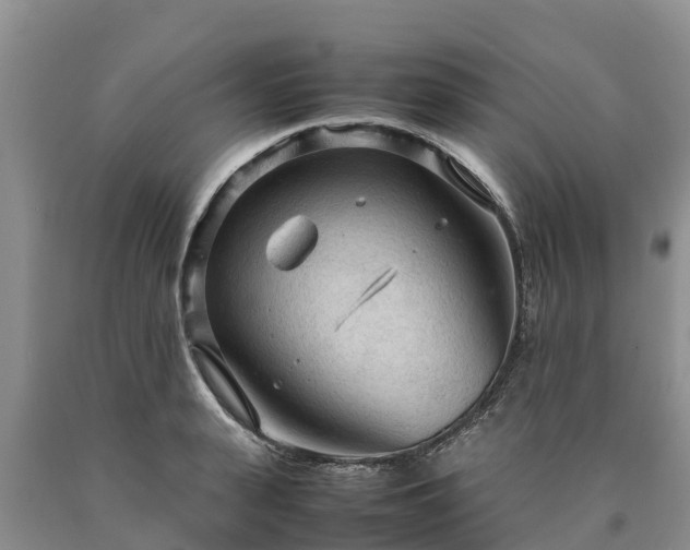 X0000090620943200707241126