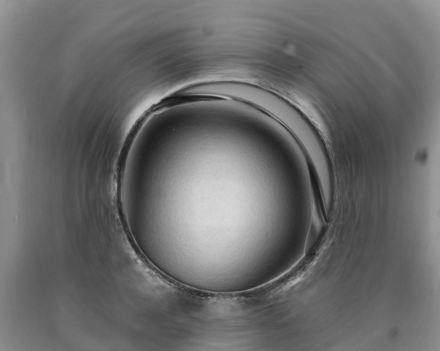 X0000090620944200707241126