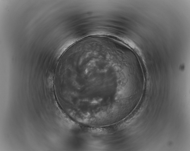 X0000090620945200707241126