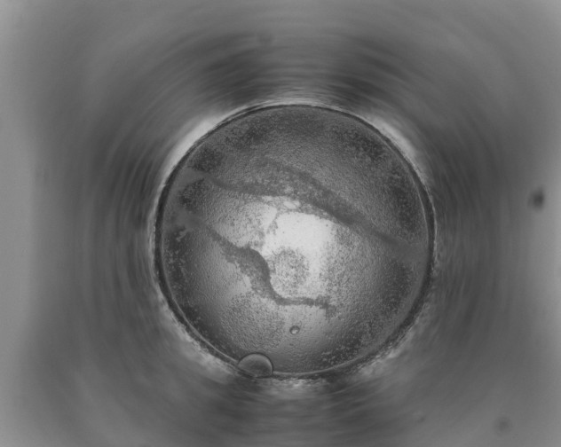 X0000090620949200707241126