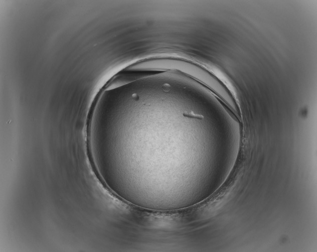 X0000090620951200707241126