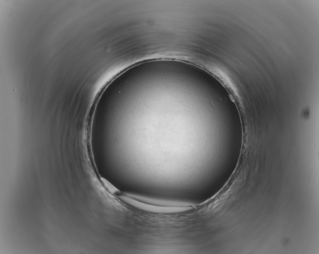 X0000090620952200707241126