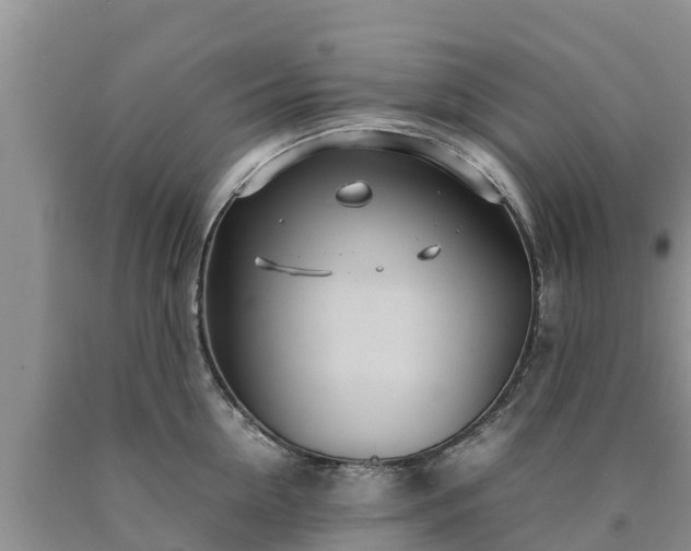 X0000090620954200707241126