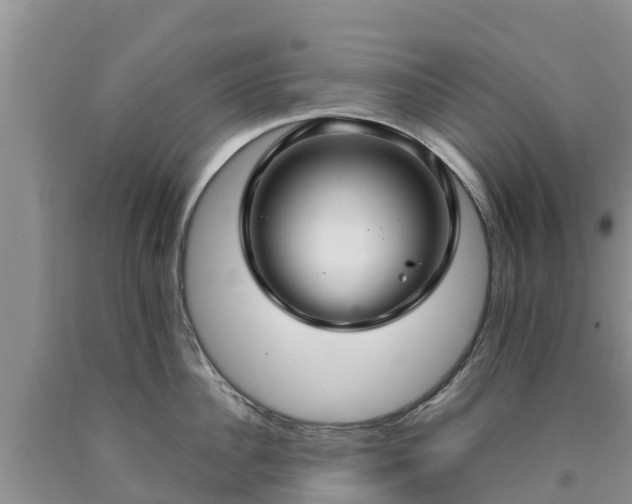 X0000090620956200707241126