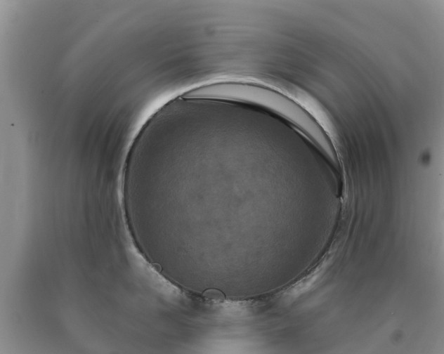 X0000090620958200707241126