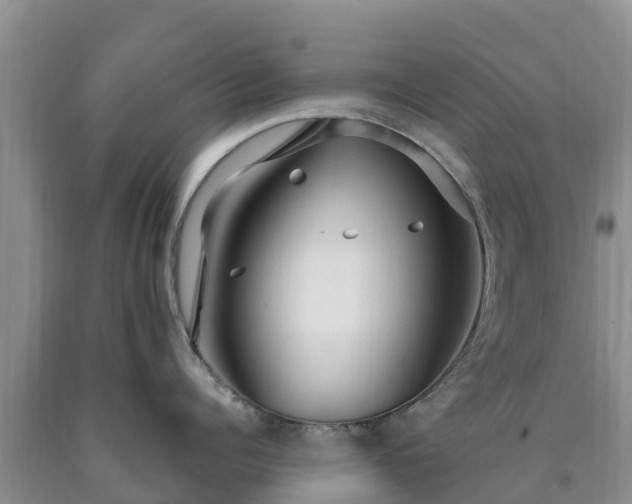 X0000090620960200707241126