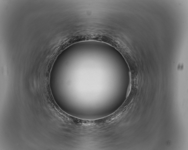 X0000090620961200707241125
