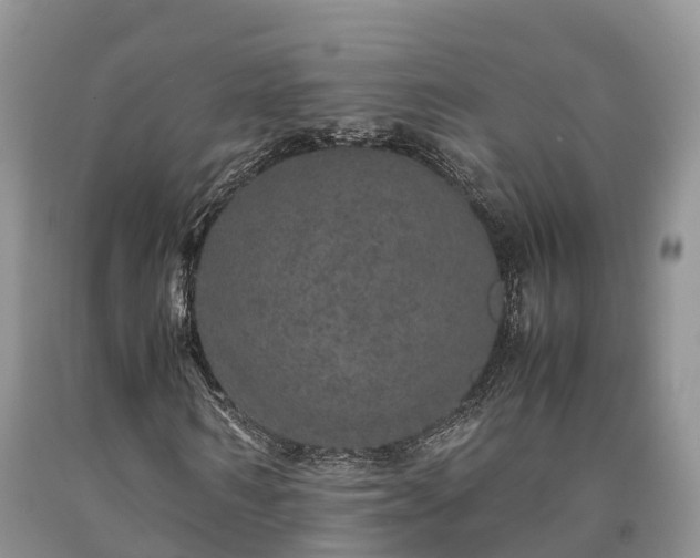 X0000090620962200707241125