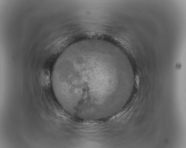 X0000090620963200707241125