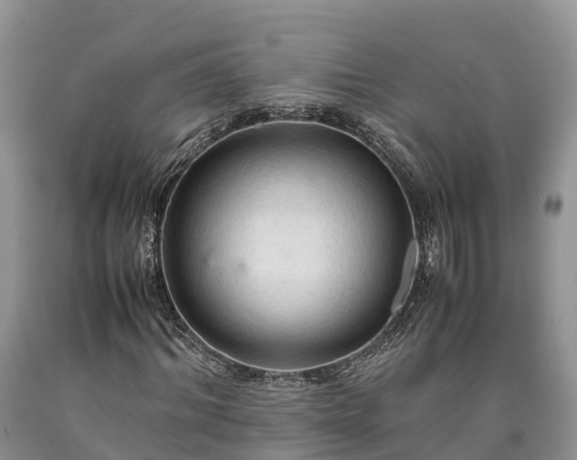 X0000090620964200707241125