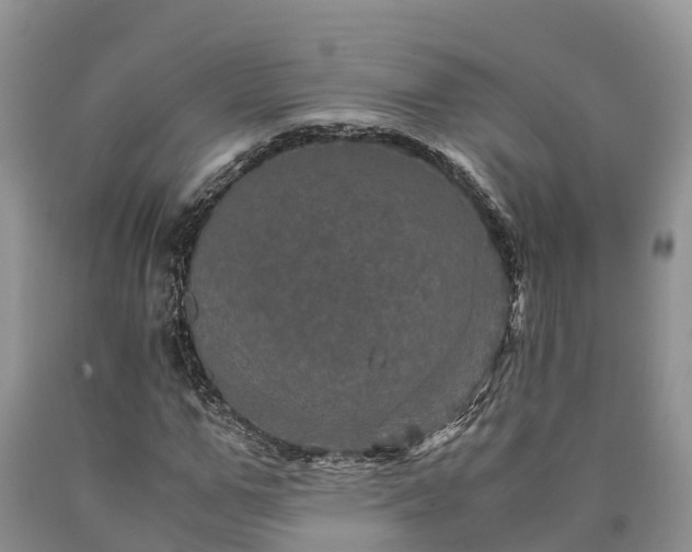 X0000090620967200707241125