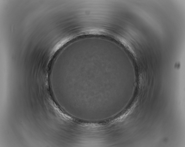 X0000090620970200707241125