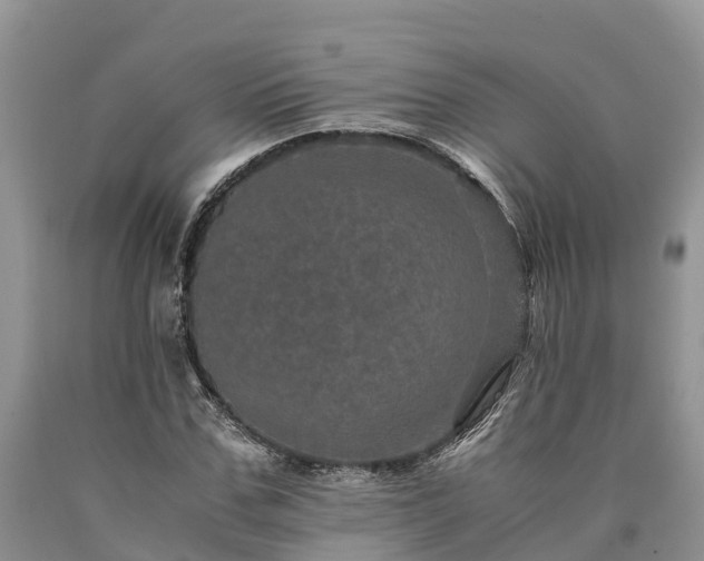 X0000090620971200707241125