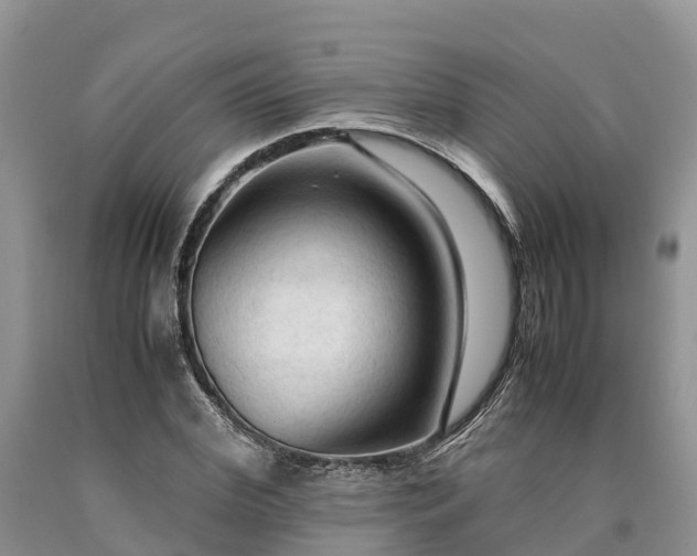 X0000090620972200707241125