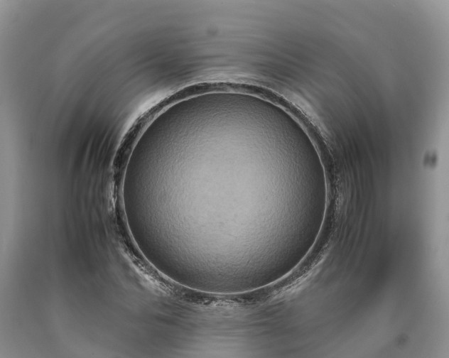 X0000090620974200707241125