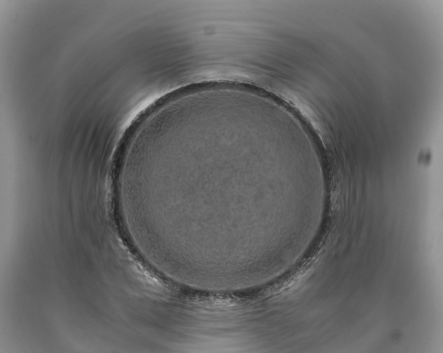 X0000090620975200707241125