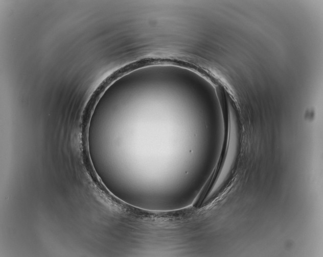 X0000090620976200707241125