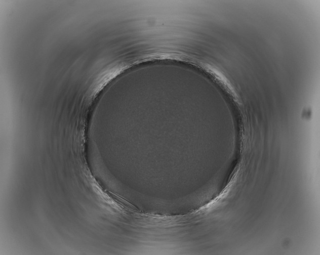 X0000090620977200707241125