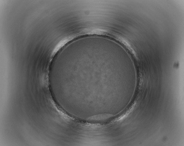 X0000090620978200707241125