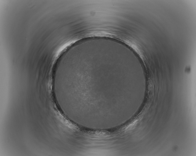 X0000090620979200707241125