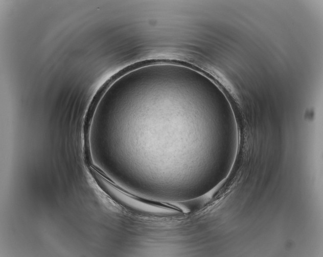 X0000090620980200707241125