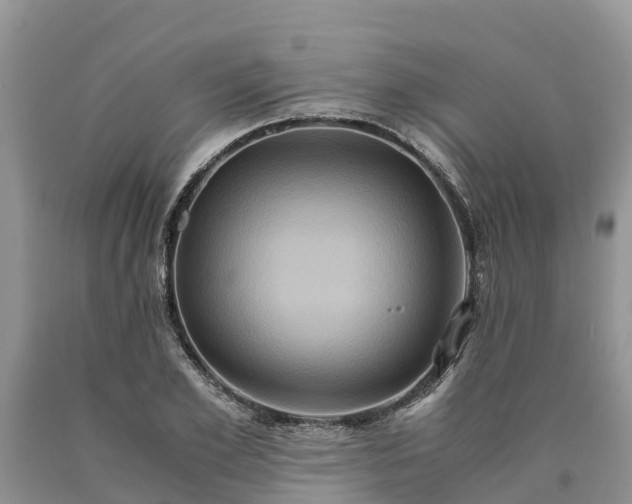 X0000090620981200707241125
