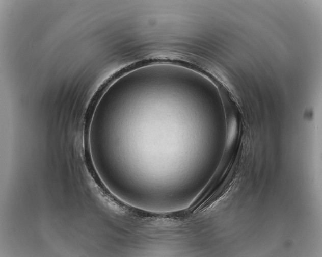 X0000090620984200707241125