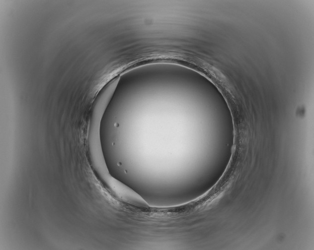 X0000090620985200707241125