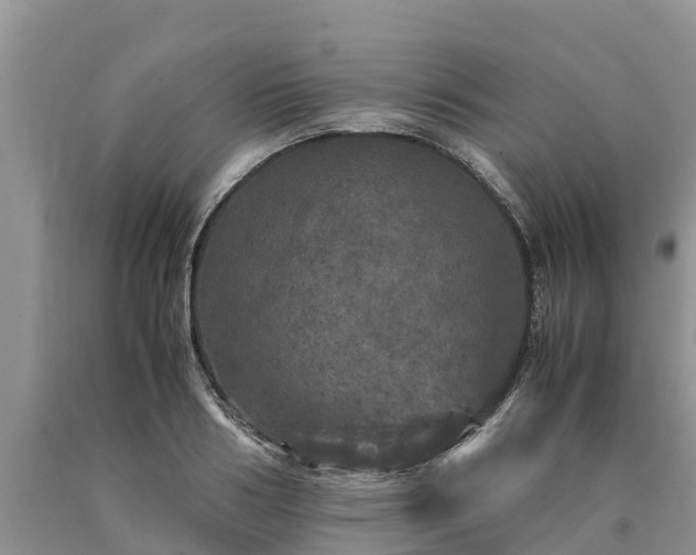 X0000090620986200707241125