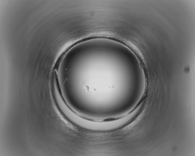 X0000090620989200707241125