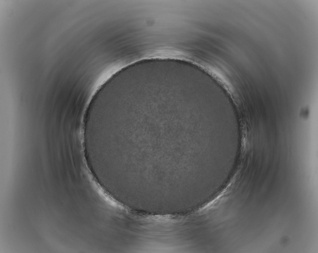 X0000090620990200707241125